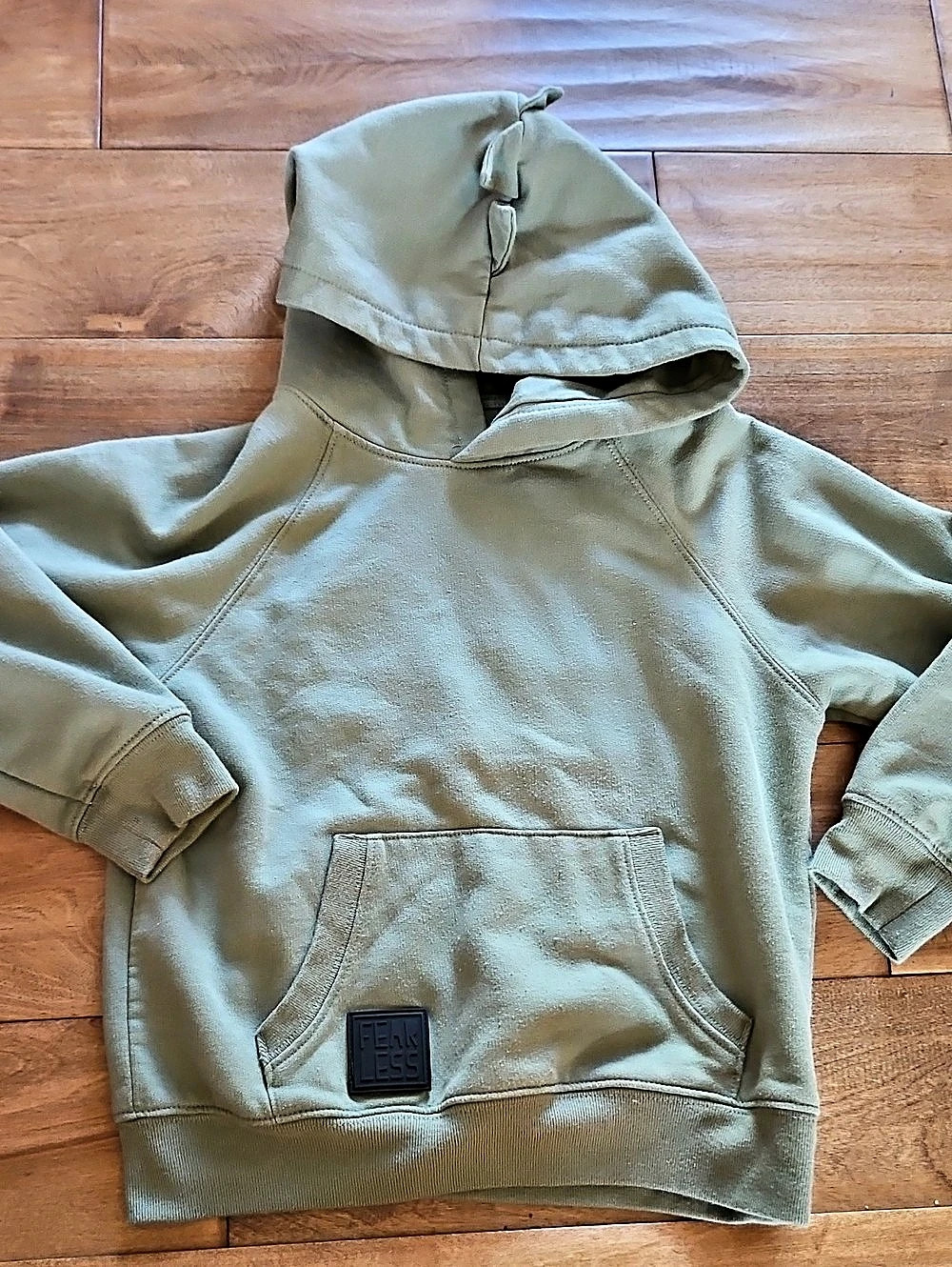 Fearless Dinosaur Graphic Hoodie in Green